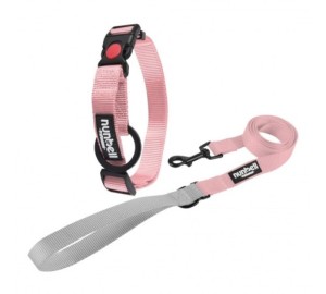 Kit Laisse et Collier...