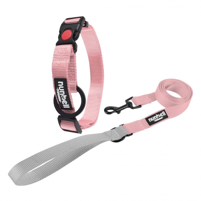 Kit Laisse et Collier pour chiens