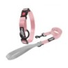 Kit Laisse et Collier pour chiens