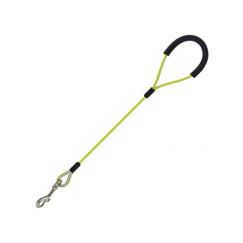 Laisse pour chien en fil d’acier de 120 cm