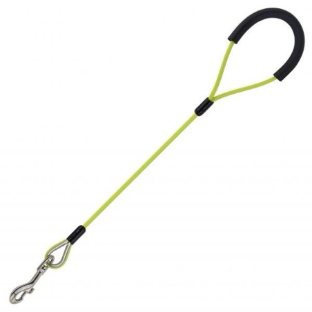 Laisse pour chien en fil d’acier de 120 cm