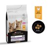 PURINA PRO PLAN KITTEN AU POULET 1.5 KG