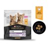 PURINA PRO PLAN KITTEN AU POULET 400g