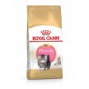 Royal Canin Persian Kitten 2 kg