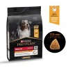 Purina Pro Plan Medium Adult au Poulet pour Chien Adulte de Taille Moyenne  3 kg